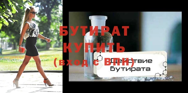 индика Гусь-Хрустальный