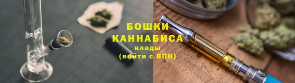 индика Гусь-Хрустальный